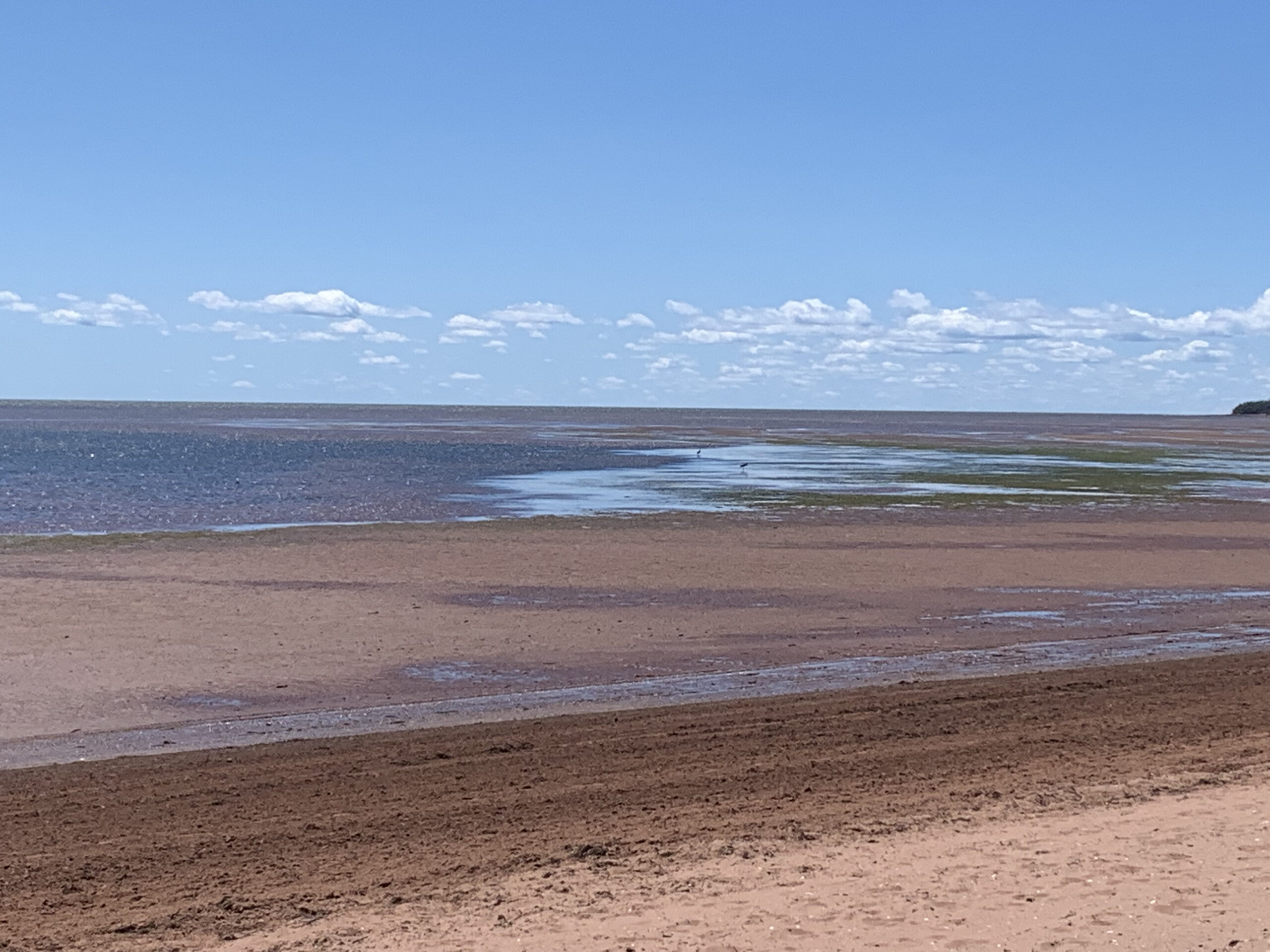 Seaside Condo near Summerside Prince Edward Island Lets Rent